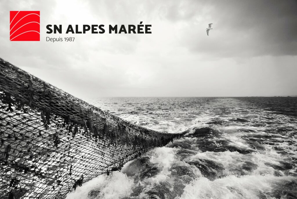 Mer SNAM Alpes Marée fournisseur poissons Savoie