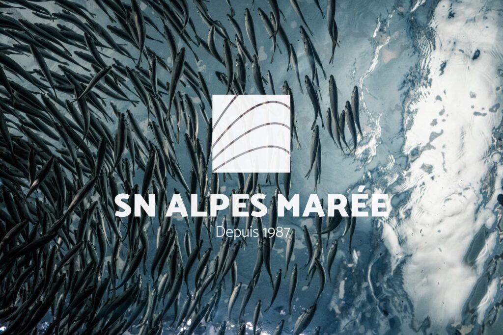 Banc de poissons SNAM grossiste fruits de mer Savoie