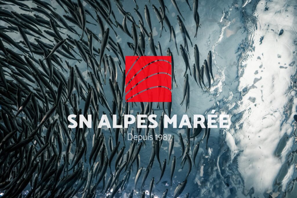 Banc de poissons SNAM grossiste fruits de mer Chambéry
