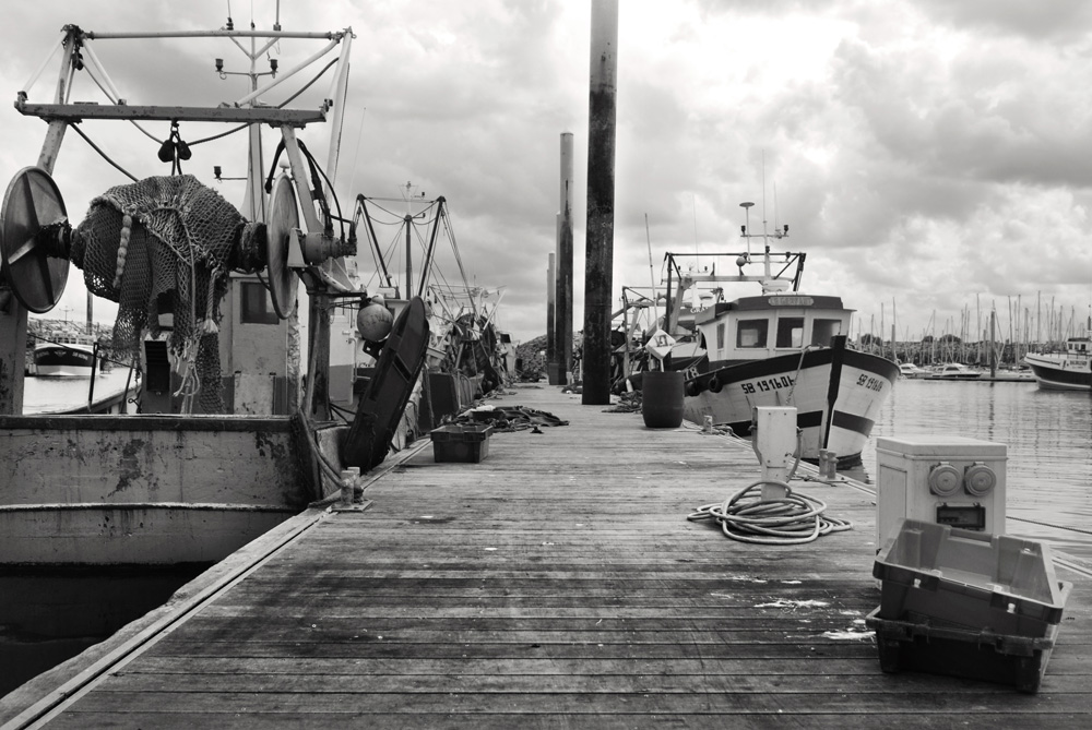 Grossiste poisson Savoie